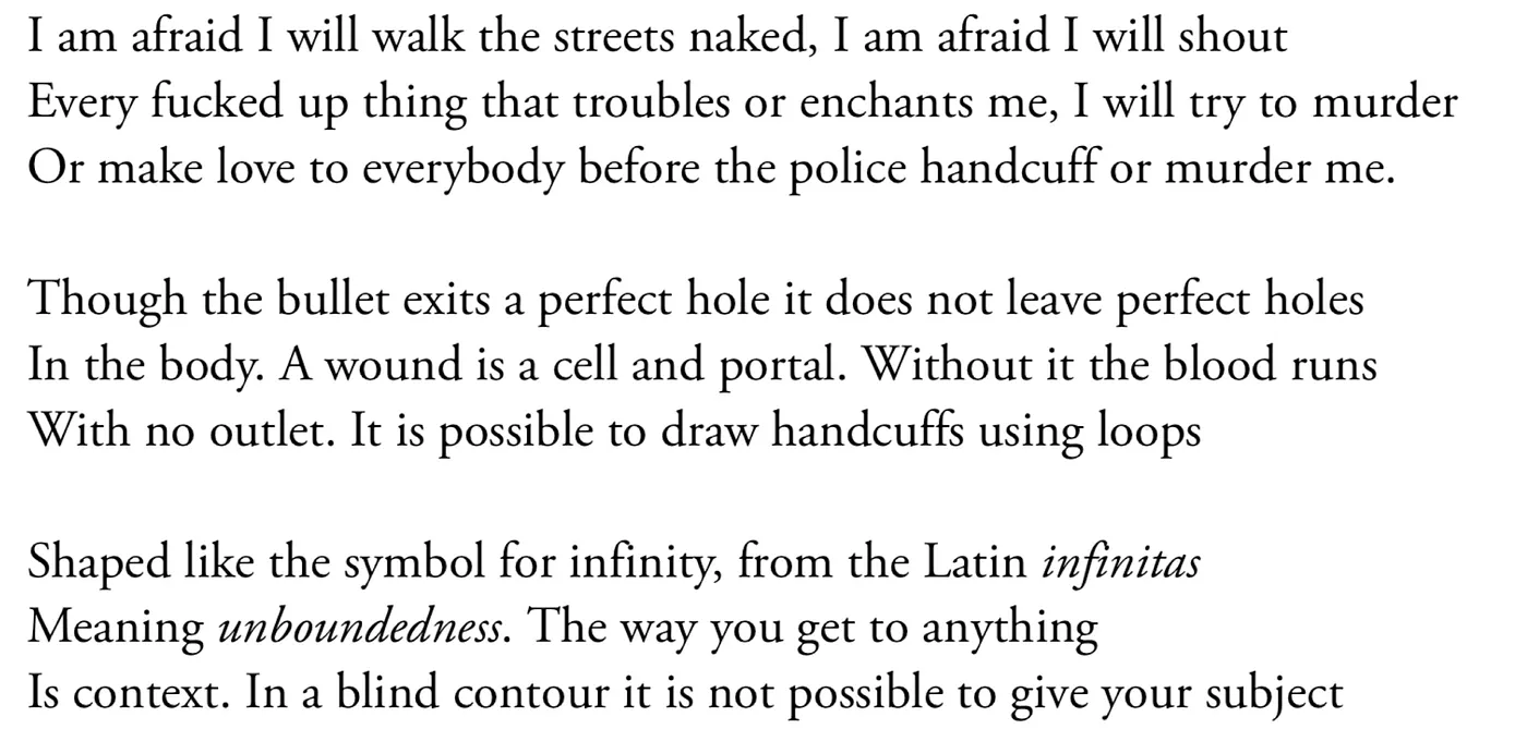 Terrance Hayes, How To Draw A Perfect Circle